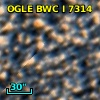 OGLE BWC   I   7314