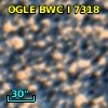 OGLE BWC   I   7318
