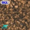 OGLE BWC   I   7513