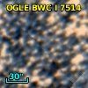 OGLE BWC   I   7514