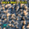 OGLE BWC   I   7515