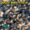 OGLE BWC   I   7814