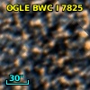 OGLE BWC   I   7825