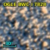 OGLE BWC   I   7828