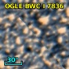 OGLE BWC   I   7836