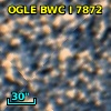 OGLE BWC   I   7872