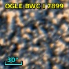 OGLE BWC   I   7899