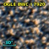 OGLE BWC   I   7920