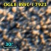 OGLE BWC   I   7921