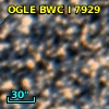 OGLE BWC   I   7929