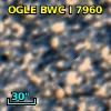 OGLE BWC   I   7960