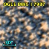 OGLE BWC   I   7987