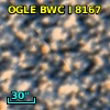 OGLE BWC   I   8167