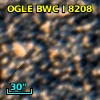 OGLE BWC   I   8208