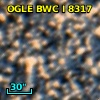 OGLE BWC   I   8317