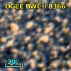 OGLE BWC   I   8366