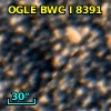 OGLE BWC   I   8391