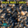 OGLE BWC   I   8403