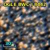 OGLE BWC   I   8442