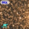 OGLE BWC   I   8502
