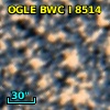 OGLE BWC   I   8514