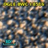 OGLE BWC   I   8516
