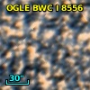 OGLE BWC   I   8556