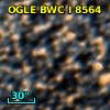 OGLE BWC   I   8564