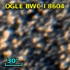 OGLE BWC   I   8604