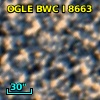 OGLE BWC   I   8663