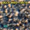 OGLE BWC   I   8676