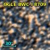 OGLE BWC   I   8709