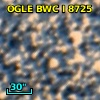 OGLE BWC   I   8725