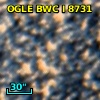 OGLE BWC   I   8731