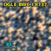OGLE BWC   I   8737