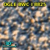 OGLE BWC   I   8825