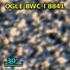 OGLE BWC   I   8841