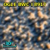 OGLE BWC   I   8917