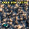 OGLE BWC   I   8929