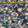 OGLE BWC   I   8977
