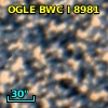 OGLE BWC   I   8981