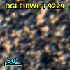 OGLE BWC   I   9229