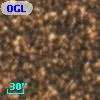 OGLE BWC   I   9869