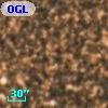 OGLE BWC   I   9917