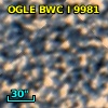 OGLE BWC   I   9981