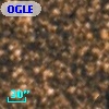 OGLE BWC   I  10191