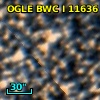 OGLE BWC   I  11636