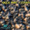 OGLE BWC   I  11660