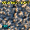 OGLE BWC   I  11677
