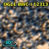 OGLE BWC   I  12313